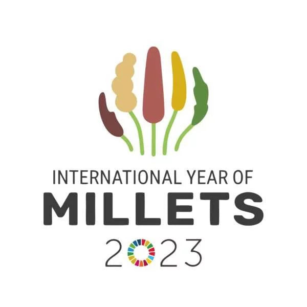 Multi millet melange (shree anna khichdi) 500g