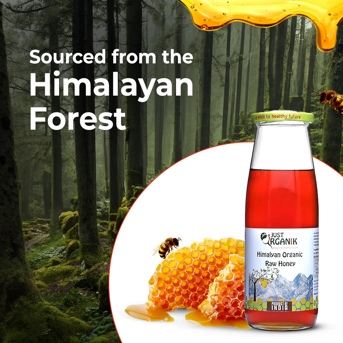Honey raw forest