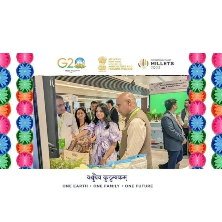 G20 summit india