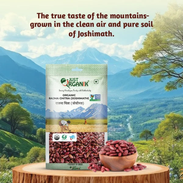 Rajma Chitra - Joshimath: From the Hills to Your Heart