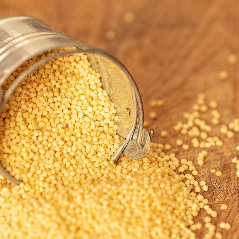 Foxtail millet (kangni)