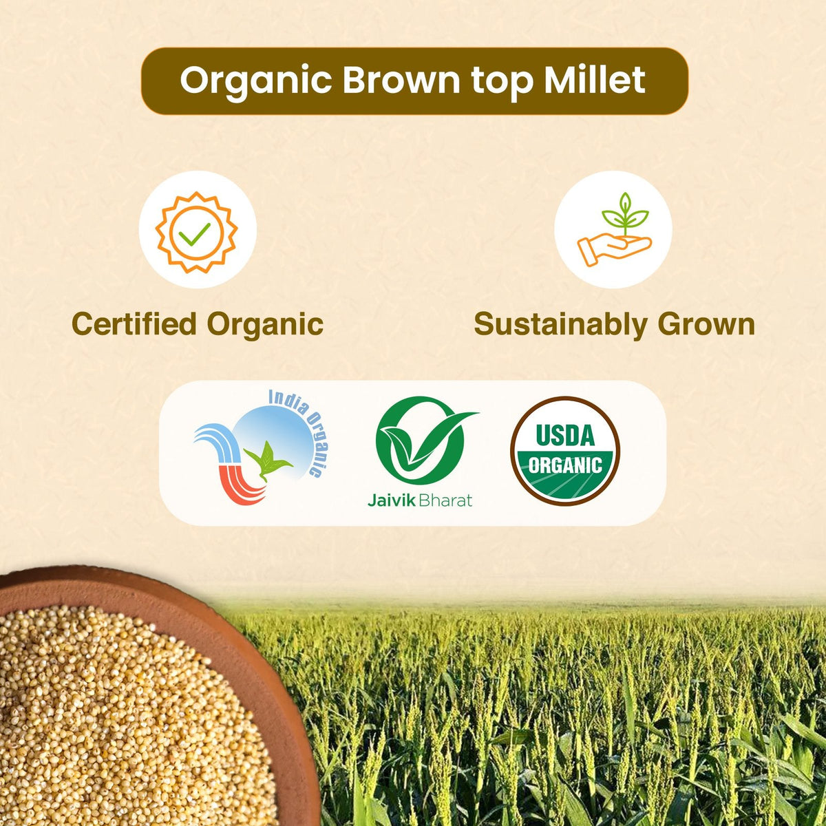 Brown top millet 500g