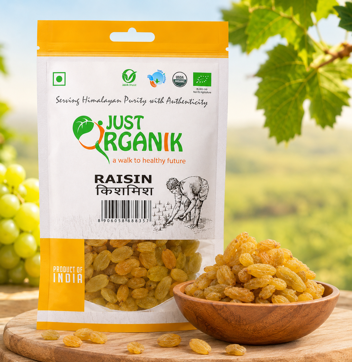 Raisin (kishmish)