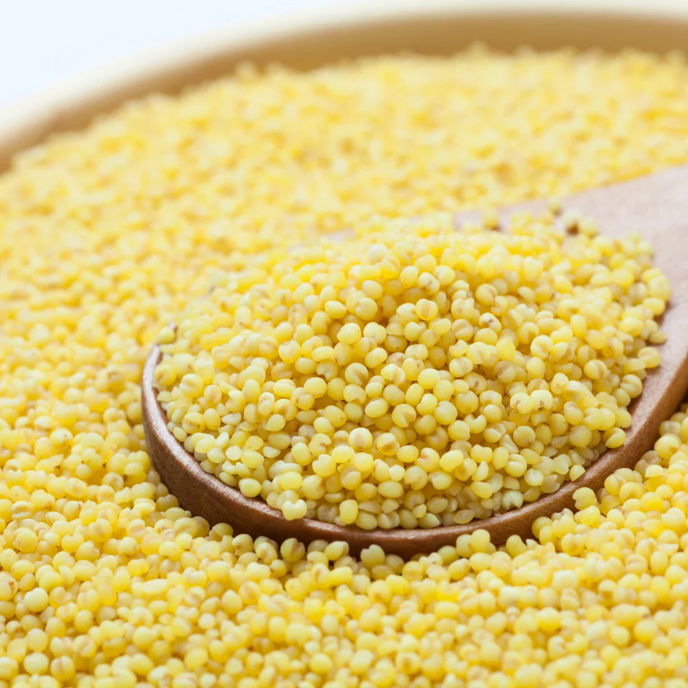 Kodo millet