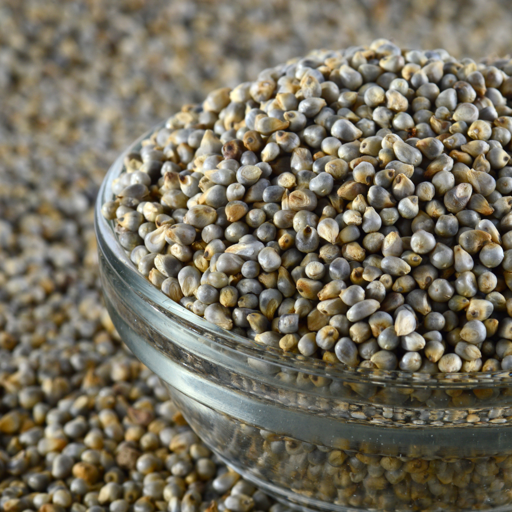 Pearl millet (bajra dalia)
