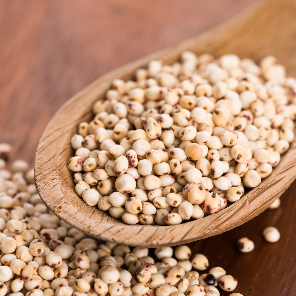 Sorghum (jowar) 500g