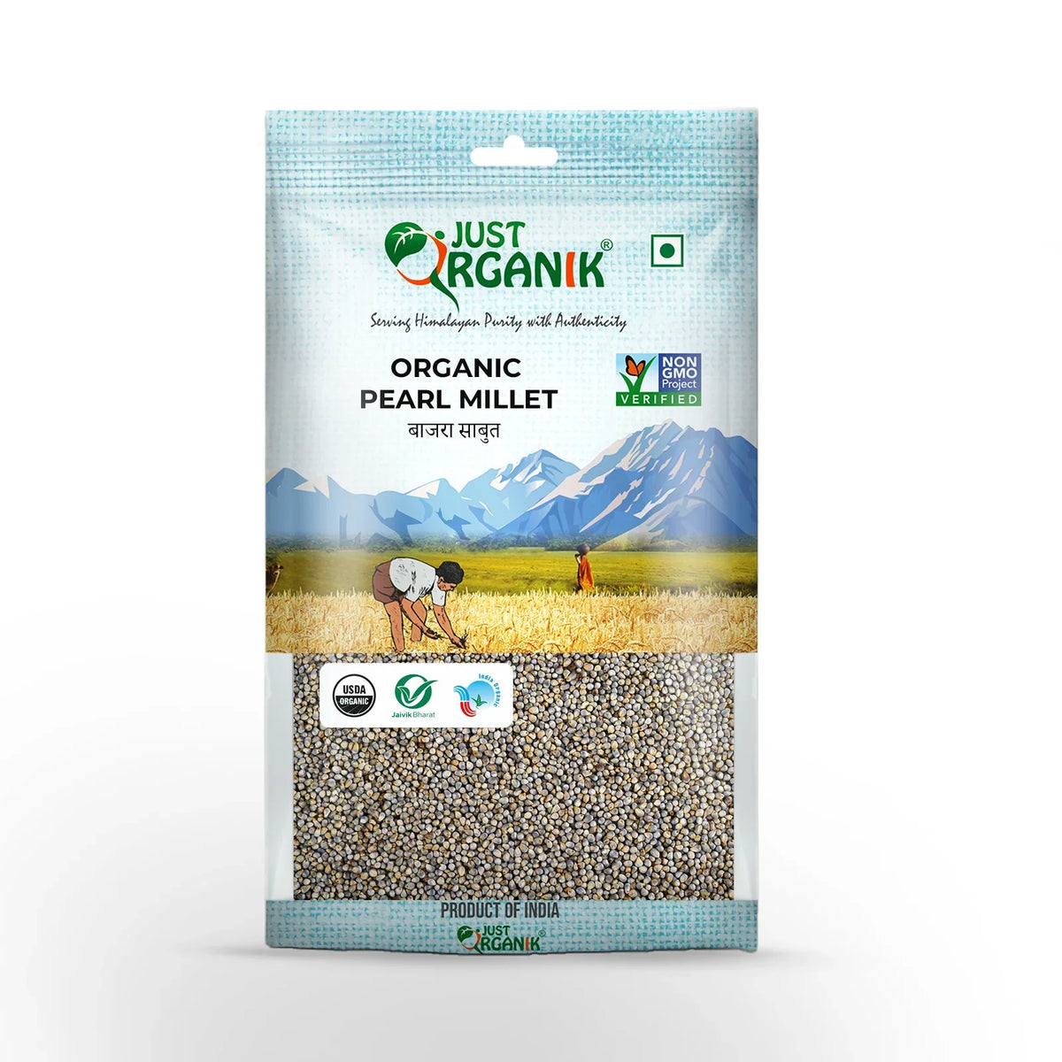 Pearl millet (bajra)