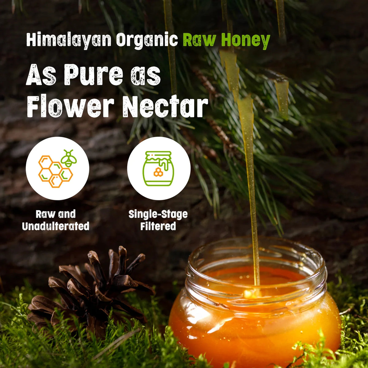 Honey   raw forest